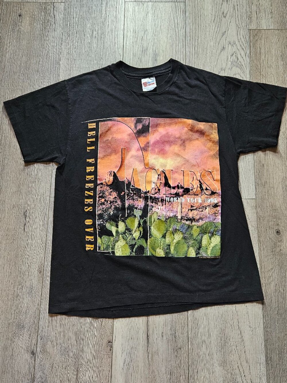 Vintage 1995 Eagles Hell Freezes Over Tour Shirt Mens L Single Stitch Hanes USA